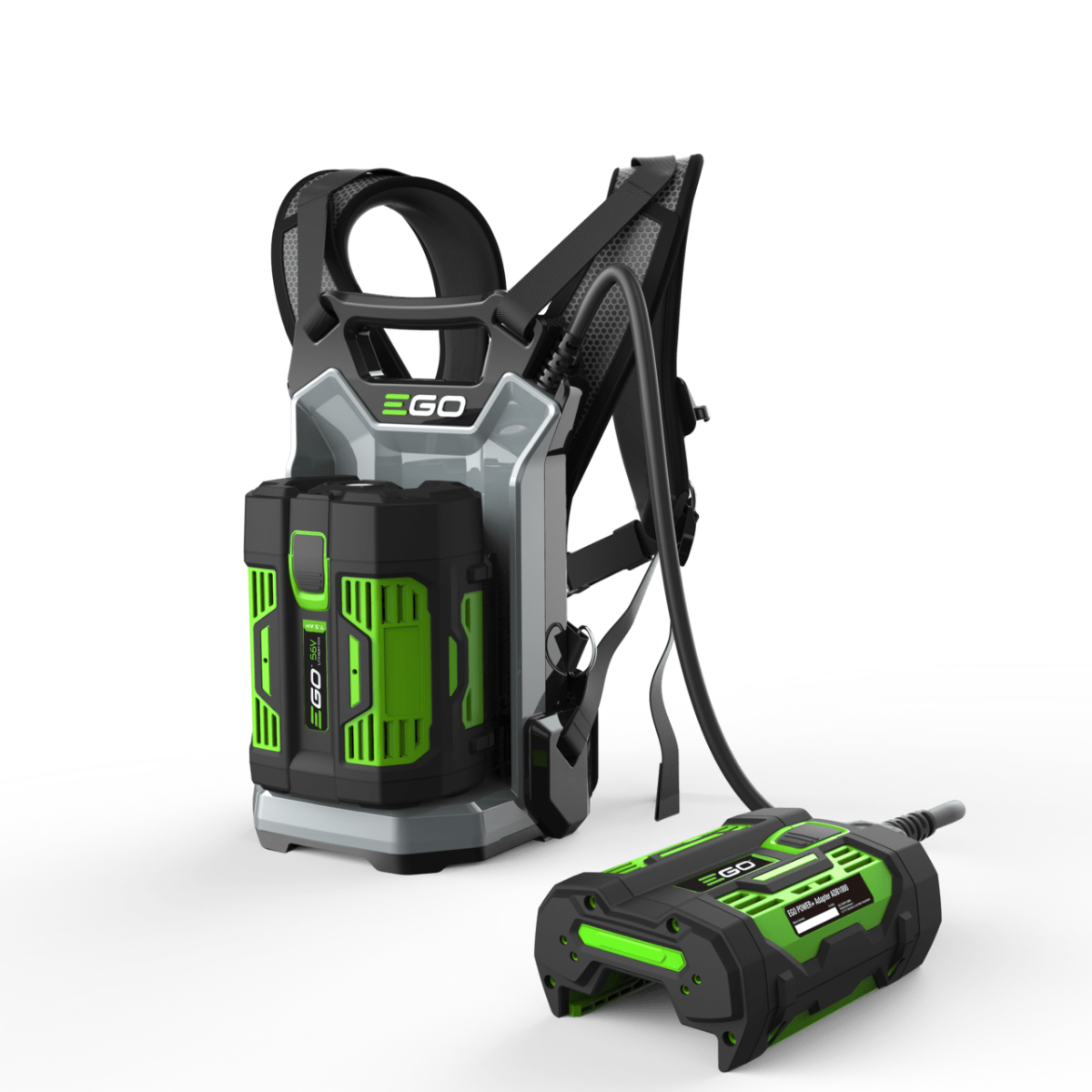 BH1001 RUGHARNAS ACCU EGO